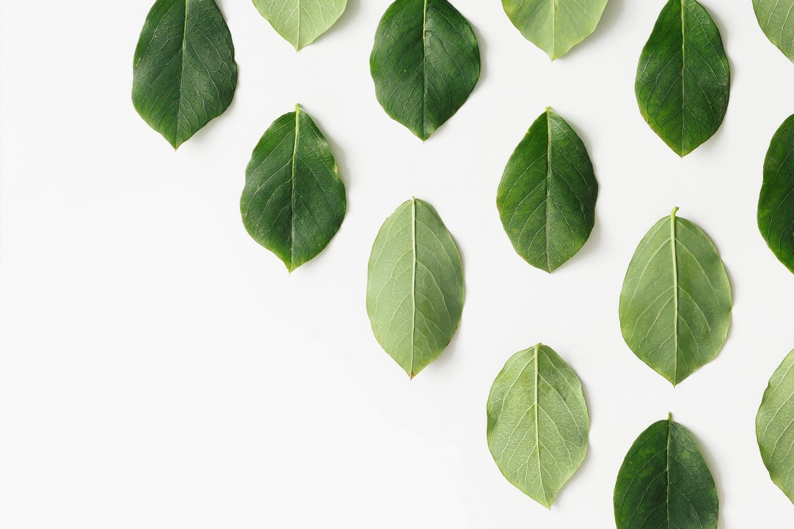 The difference between recycled and carbon neutral paper The